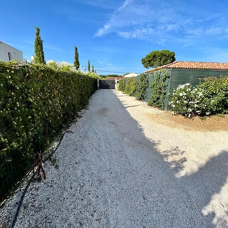 Jolie Maison Neuve Au Coeur Des Vignes Villa Cogolin