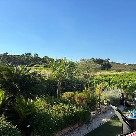 Jolie Maison Au Coeur Des Vignobles 别墅 孔格林